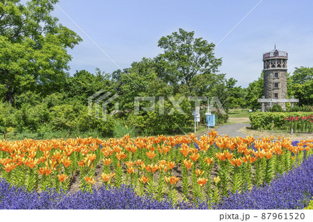 百合が原公園　札幌市 87961520