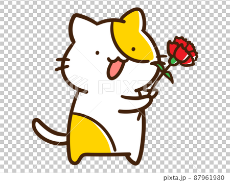 一隻給康乃馨的可愛貓的手寫風格插圖 87961980