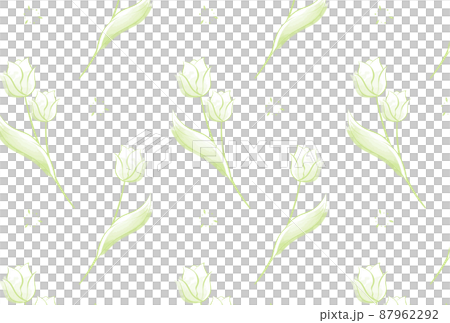 鬱金香背景 87962292