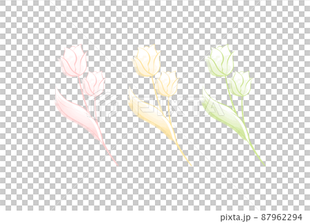 鬱金香背景 鬱金香背景 87962294