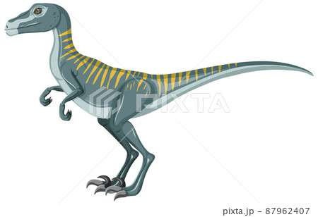Velociraptor dinosaur on white background Velociraptor dinosaur on white background 87962407