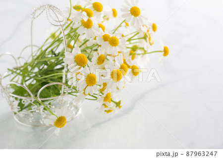 バスケットに入った白い花 87963247