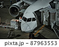 旅客機 87963553