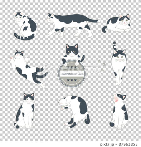 白黒猫のイラストセット 87963855