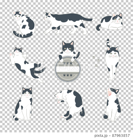黑白貓插圖集 87963857