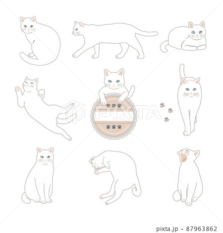 白猫のイラストセット 87963862