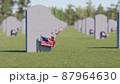 Veterans Cemetery, Memorial Day, National Holiday, 3D rendering 87964630