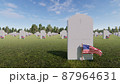 Veterans Cemetery, Memorial Day, National Holiday, 3D rendering 87964631