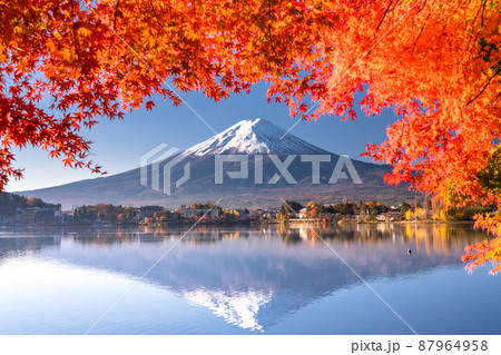 《山梨県》秋の富士山・紅葉のアーチ 87964958