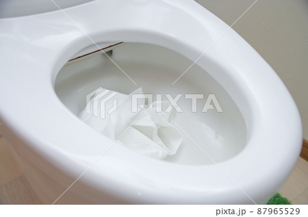洋式便器とトイレットペーパー 87965529