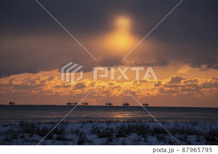 野付の日の出 87965795