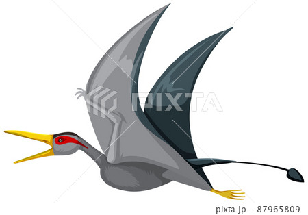 A dinosaur rhamphorhynchus on white background 87965809