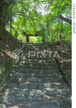 夏の秋月城址・黒門 87965912