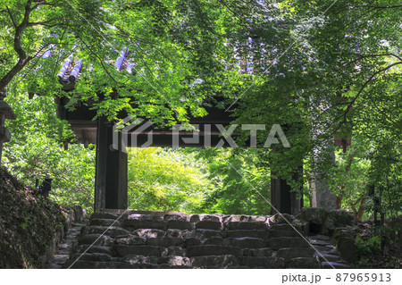 夏の秋月城址・黒門 87965913
