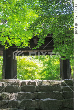 夏の秋月城址・黒門 87965914