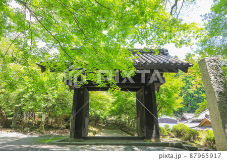 夏の秋月城址・黒門 87965917