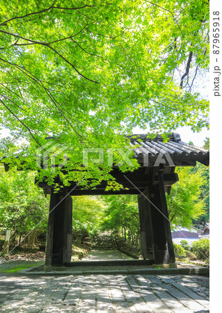 夏の秋月城址・黒門 87965918