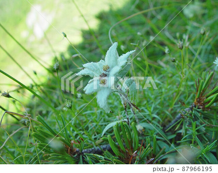 空木岳 空木岳 87966195