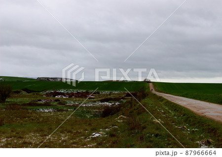 雪の中を歩き続ける カミーノ(サンティアゴ巡礼) 雪の中を歩き続ける カミーノ(サンティアゴ巡礼) 87966664