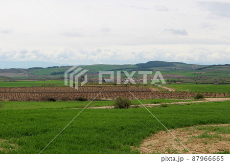 巡礼路にある街、トーレス・デル・リオ、カミーノ（サンティアゴ巡礼） 87966665