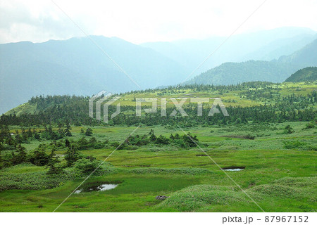 苗場山 苗場山 87967152