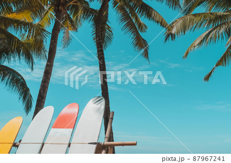 Surfboard and palm tree with blue sky on beach background. Travel adventure sport and summer vacation concept. Surfboard and palm tree with blue sky on beach background. Travel adventure sport and summer vacation concept. 87967241