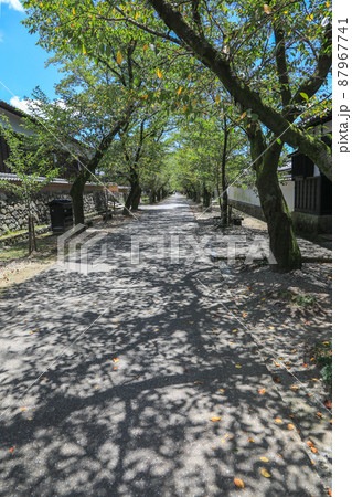 夏の秋月 87967741