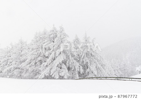 大関嶺 羊牧場 雪景色 87967772