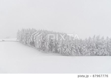 大関嶺 羊牧場 雪景色 87967776