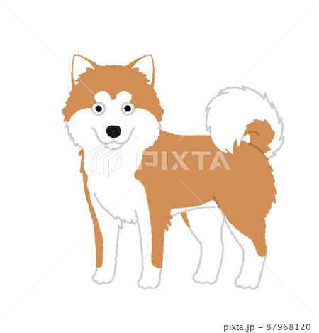秋田犬のイラスト 87968120