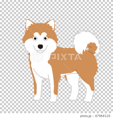 秋田犬のイラスト 87968120
