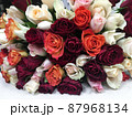 Close-up lying bouquet of multi-colored fresh roses 87968134
