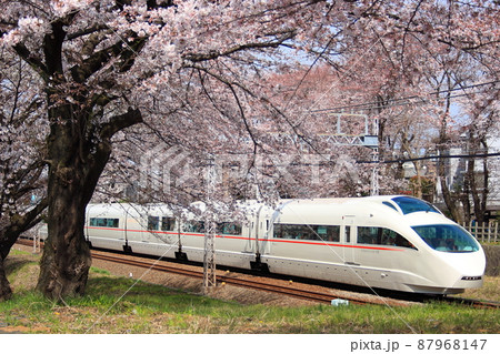 満開に咲き誇る桜のトンネルの中を駆け抜ける小田急ロマンスカーVSE_2009/4/4撮影 87968147