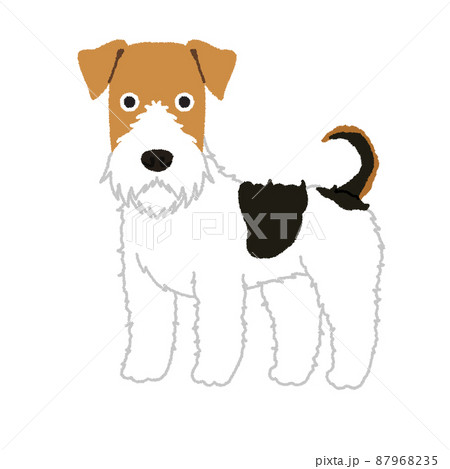 ワイアーフォックステリアの犬イラスト ワイアーフォックステリアの犬イラスト 87968235