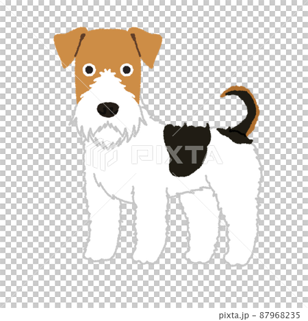 ワイアーフォックステリアの犬イラスト ワイアーフォックステリアの犬イラスト 87968235