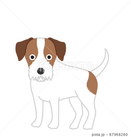 パーソンラッセルテリアの犬イラスト パーソンラッセルテリアの犬イラスト 87968260