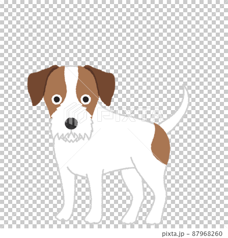 パーソンラッセルテリアの犬イラスト パーソンラッセルテリアの犬イラスト 87968260