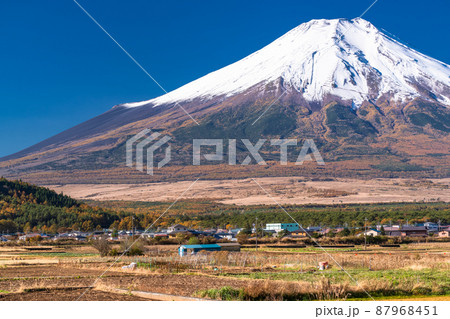 《山梨県》秋の富士山・忍野村の風景 87968451