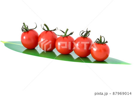 カラフル野菜 カラフル野菜 87969014