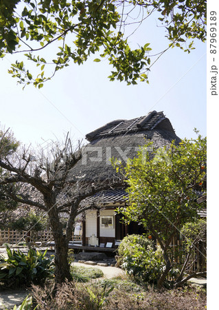 春、晴れた日の宮崎兄弟の生家と和風庭園 春、晴れた日の宮崎兄弟の生家と和風庭園 87969189