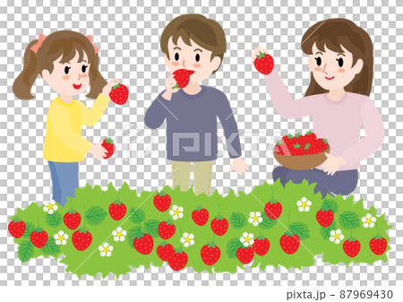 採草莓的家庭 87969430