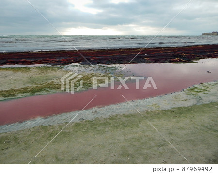 Purple ice on the shore. 87969492