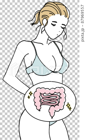 腸内環境のイラスト 87969557