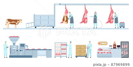 Beef product manufacture process infographic from farm cow to market. Meat food production and distribution. Sausage factory line vector set Beef product manufacture process infographic from farm cow to market. Meat food production and distribution. Sausage factory line vector set 87969899
