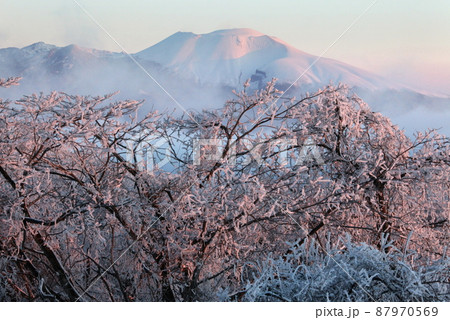 雨氷の花と浅間山 87970569