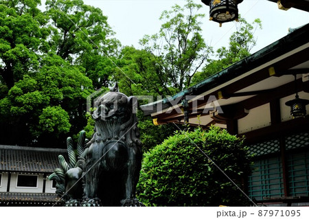 西宮神社 87971095