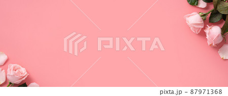 薔薇 バラ科 バラ 87971368