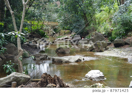 名主の滝公園の庭園、緑に囲まれた渓流と木橋【東京都北区】 87971425