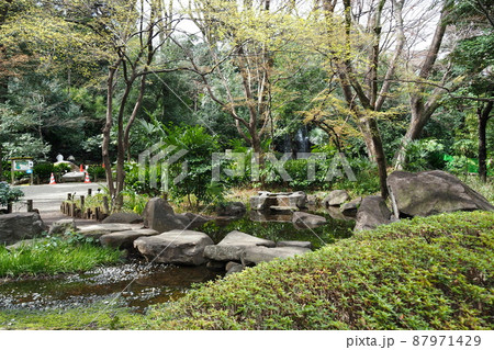 名主の滝公園の庭園、緑に囲まれた池と紅葉【東京都北区】 名主の滝公園の庭園、緑に囲まれた池と紅葉【東京都北区】 87971429
