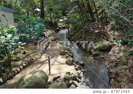 名主の滝公園の庭園、木々に囲まれた渓谷【東京都北区】 87971444